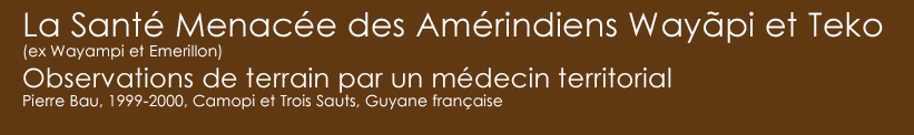 wayapi et teko amérindiens menacés de la Guyane française 