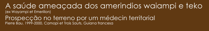 wayapi et teko amérindiens menacés de la Guyane française 